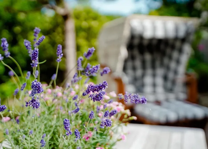 Litzkow 13903 * Morsum (Sylt)